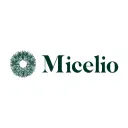 micelio.com.gt