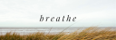 thewellnesslibrary.com