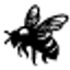 thebearriver.com
