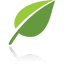 green-team-thy.dk