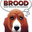 brood-va.org