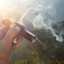 cigarclubreviews.com
