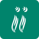 insuranceindiaa.in