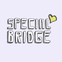 specialbridge.com