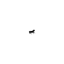 animal-light.ch