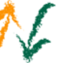 netwallexpert.com