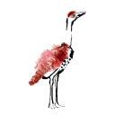 turkeyflat.com.au