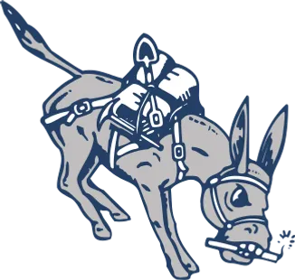 minesathletics.com
