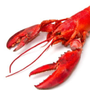 qualityseafooddelivery.com