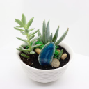 little-garden.de