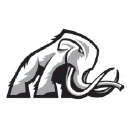 mammothenergy.com