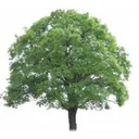 cedaredlending.com