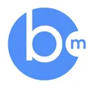 bidmatic.io