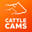 cattlecams.com